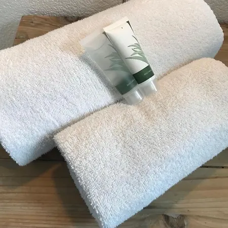 雅堡别墅旅馆 阿姆斯特丹