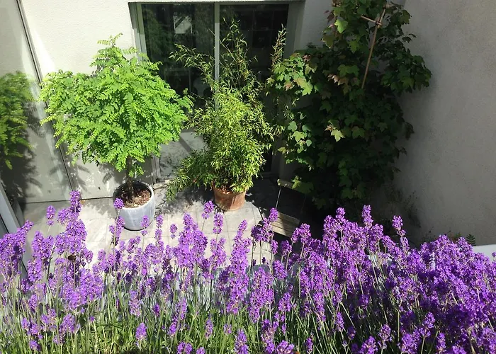 Yburg אמסטרדם